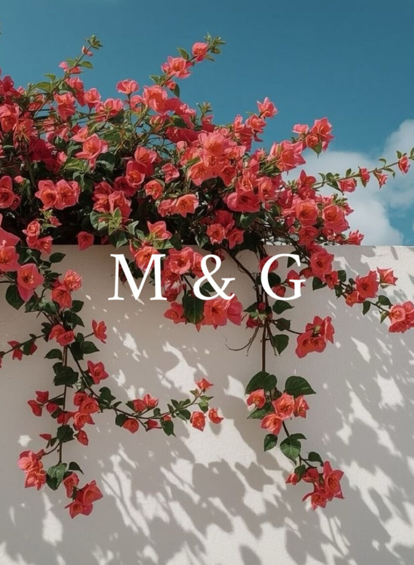 314400638_840322110634904_2271843657019345322_n copyasdasd